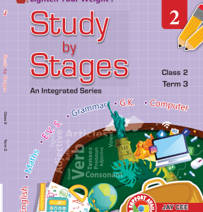 Study by Stages ( Term 3 )