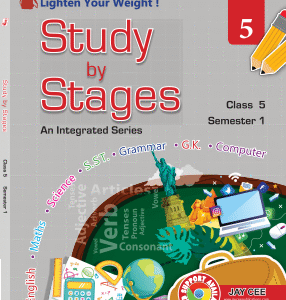 Study by Stages ( Term 1 )