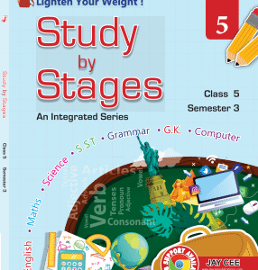 Study by Stages ( Term 3 )